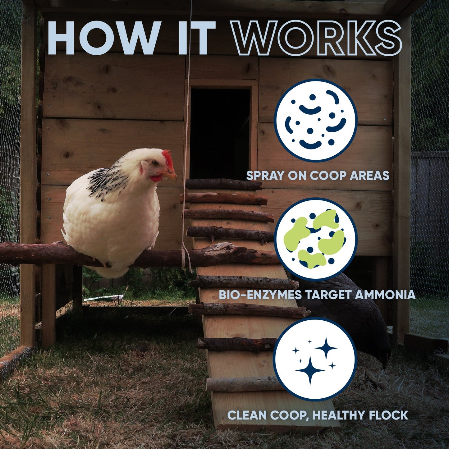 Chicken Coop Odor Eliminator Pet & Animal > Chicken Coop Odor EcoStrong