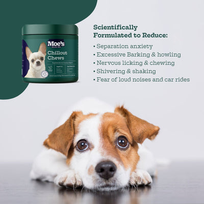 Chillout Chews Moe's Healthy Pets