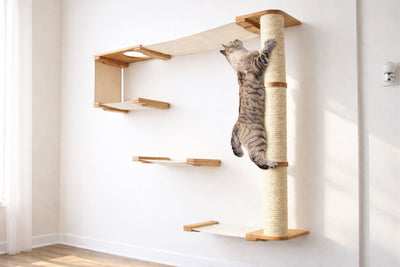 The Climb Condo - Cat Wall Climbing System Cat Condo Catastrophic Creations