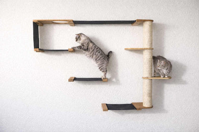 The Climb Condo - Cat Wall Climbing System Natural Bamboo Charcoal Gray Canvas Leaf Shelf Cat Condo Catastrophic Creations