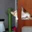 The Overlook - Sturdy - Bamboo Cat Tree Cat Condo Catastrophic Creations