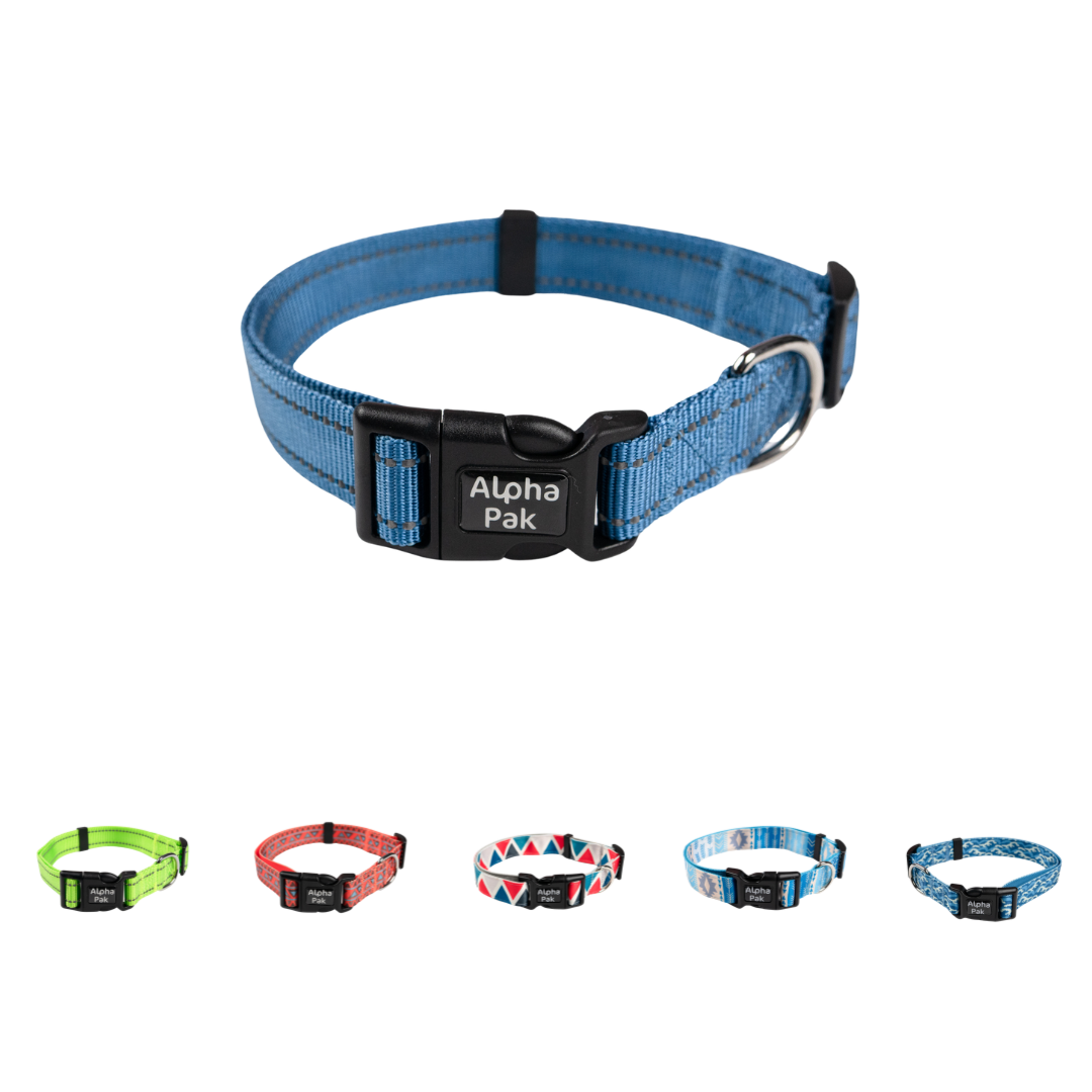 Everyday Adventure Dog Collar Dog Collar Alpha Pak