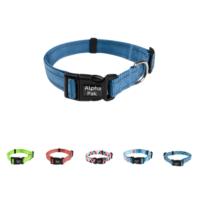 Everyday Adventure Dog Collar Dog Collar Alpha Pak