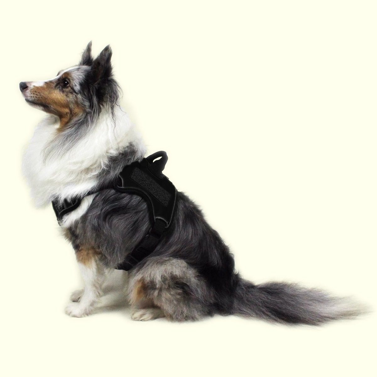 Dogline Quest Multi-Purpose No Pull Dog Harness Dog Harnesses Dogline
