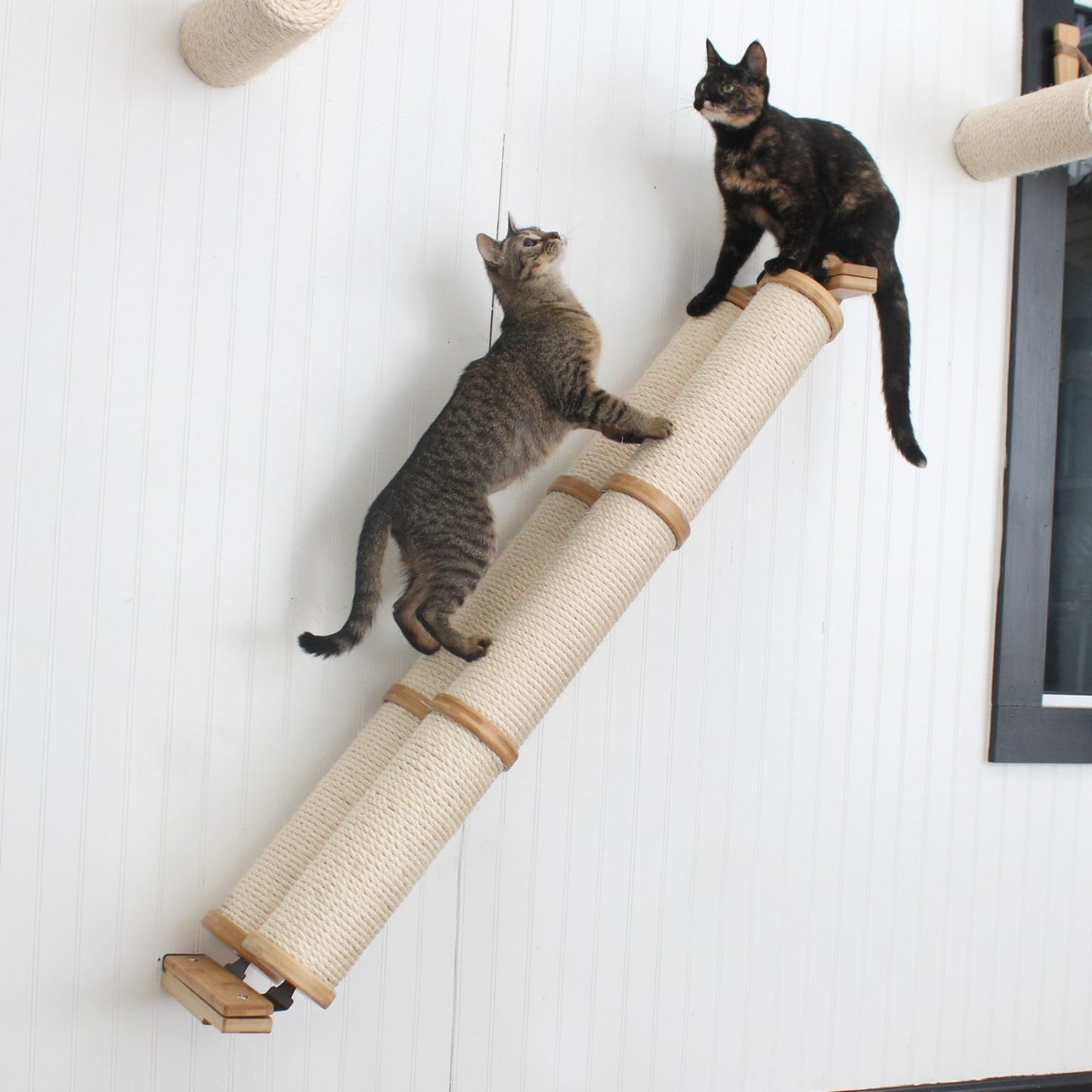 Slanted Cat Scratcher for Wall Cat Scratcher Catastrophic Creations
