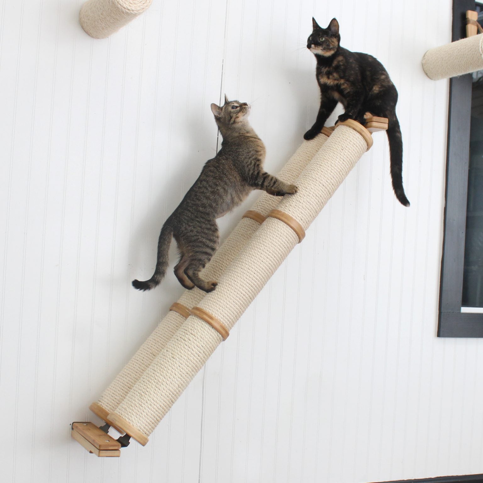 Slanted Cat Scratcher for Wall Cat Scratcher Catastrophic Creations
