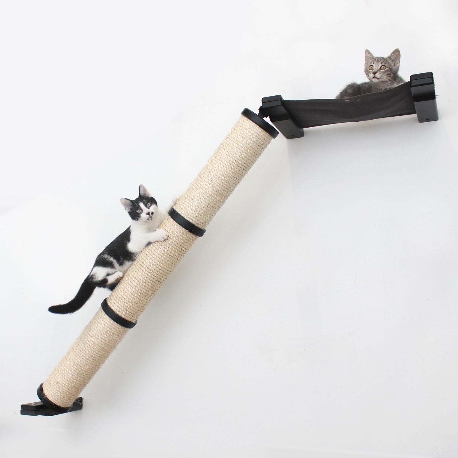 Slanted Cat Scratcher for Wall Cat Scratcher Catastrophic Creations