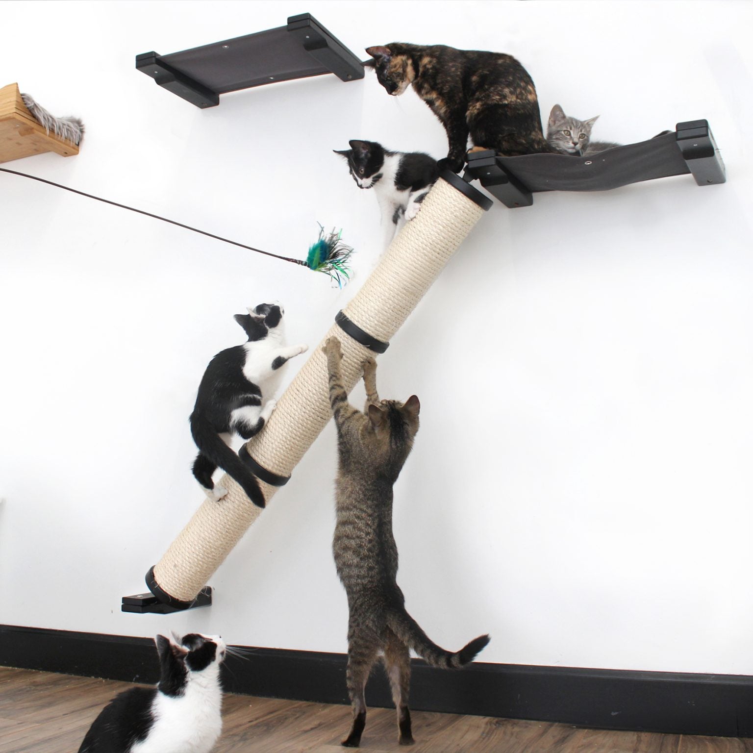 Slanted Cat Scratcher for Wall Onyx Bamboo 3-Tier Single Charcoal Gray Canvas Cat Scratcher Catastrophic Creations