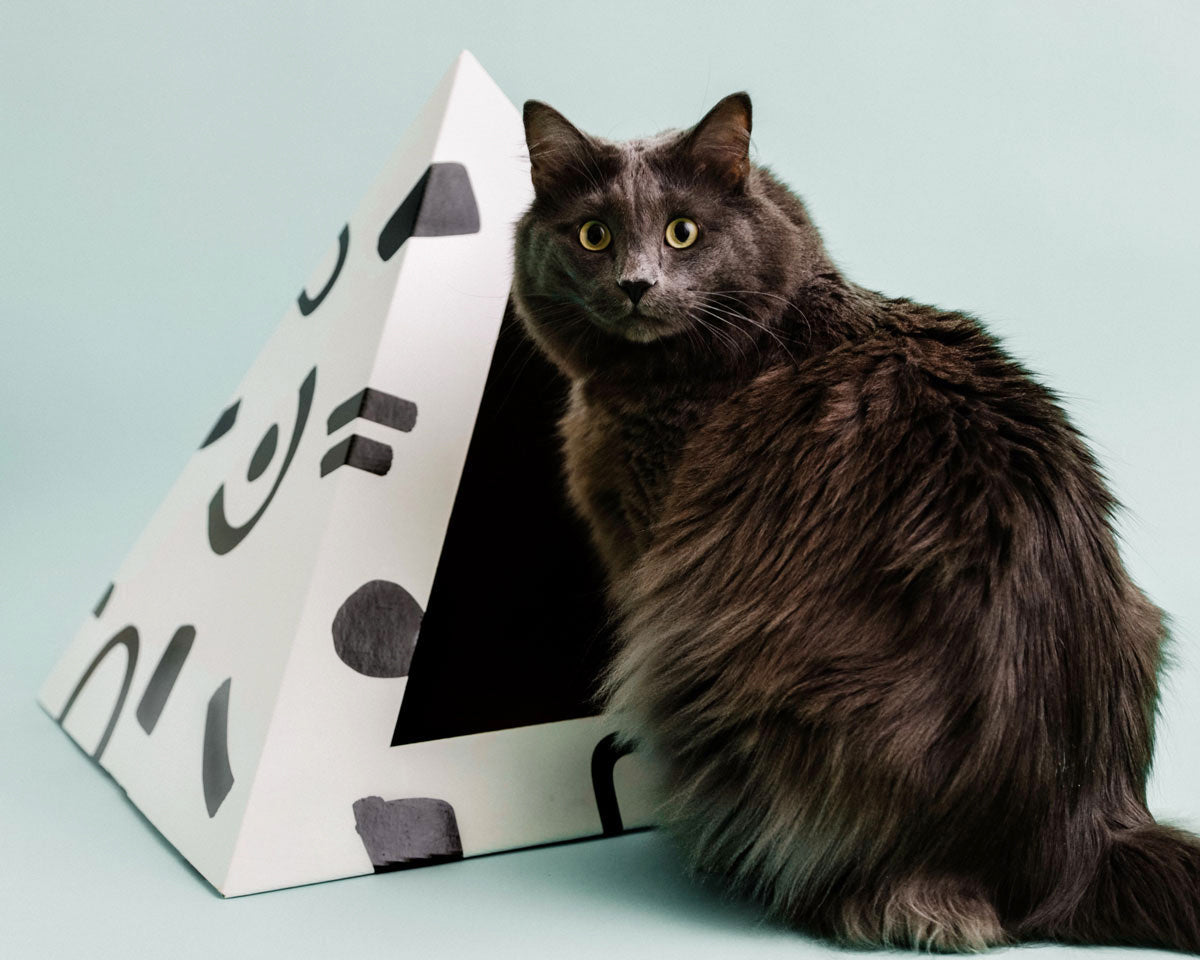 'Doodle' Cardboard Cat Pyramid KittyKardboard
