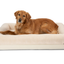 PupChill™ Cooling 4-Bolster Dog Bed - Arctic Sand Dog Beds Paw.com