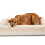 PupChill™ Cooling 4-Bolster Dog Bed - Arctic Sand Dog Beds Paw.com
