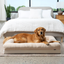 PupChill™ Cooling 4-Bolster Dog Bed - Arctic Sand Dog Beds Paw.com