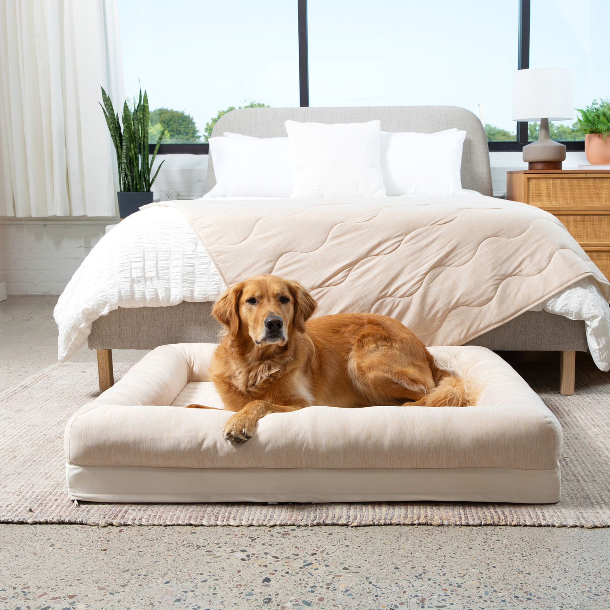 PupChill™ Cooling 4-Bolster Dog Bed - Arctic Sand Dog Beds Paw.com