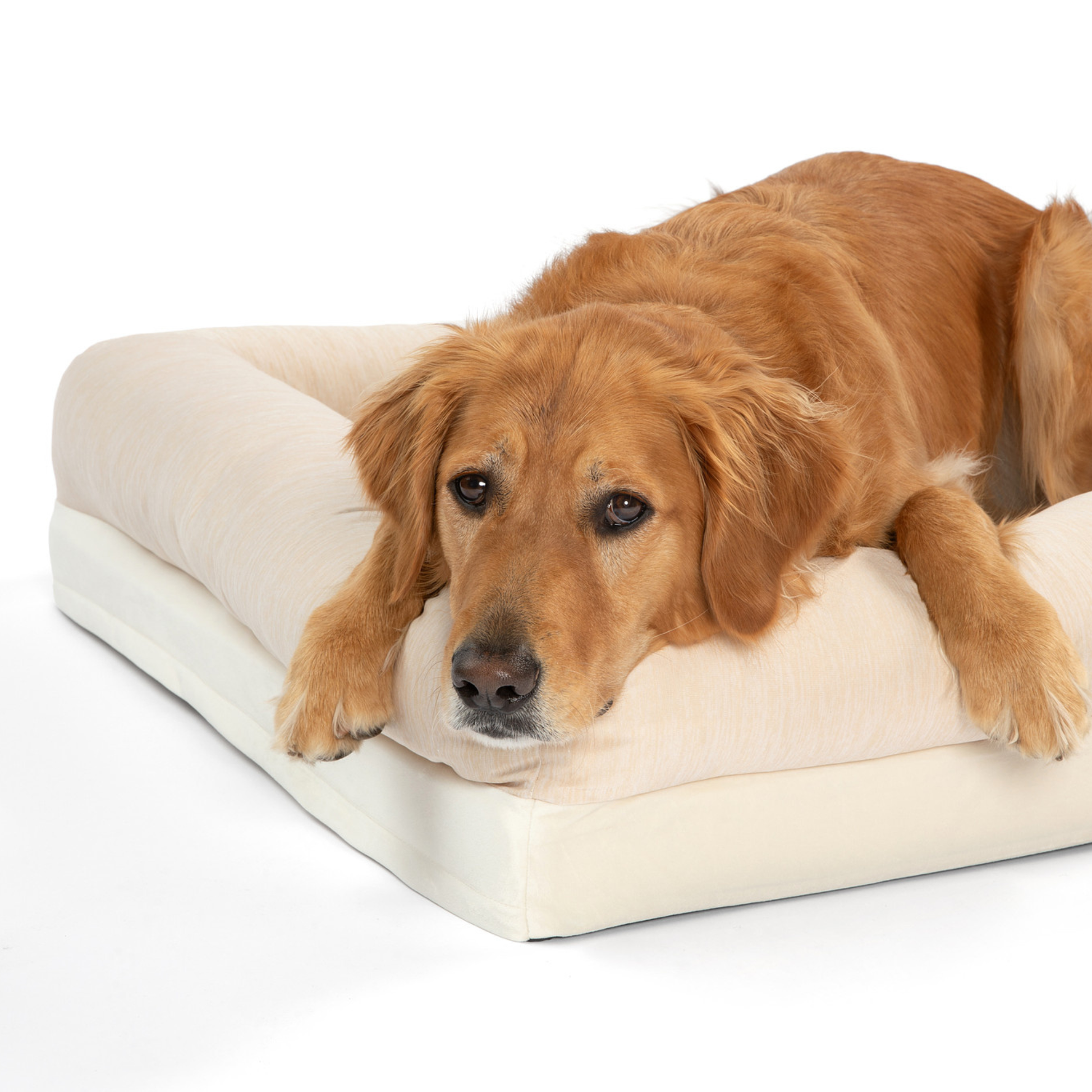 PupChill™ Cooling 4-Bolster Dog Bed - Arctic Sand Dog Beds Paw.com
