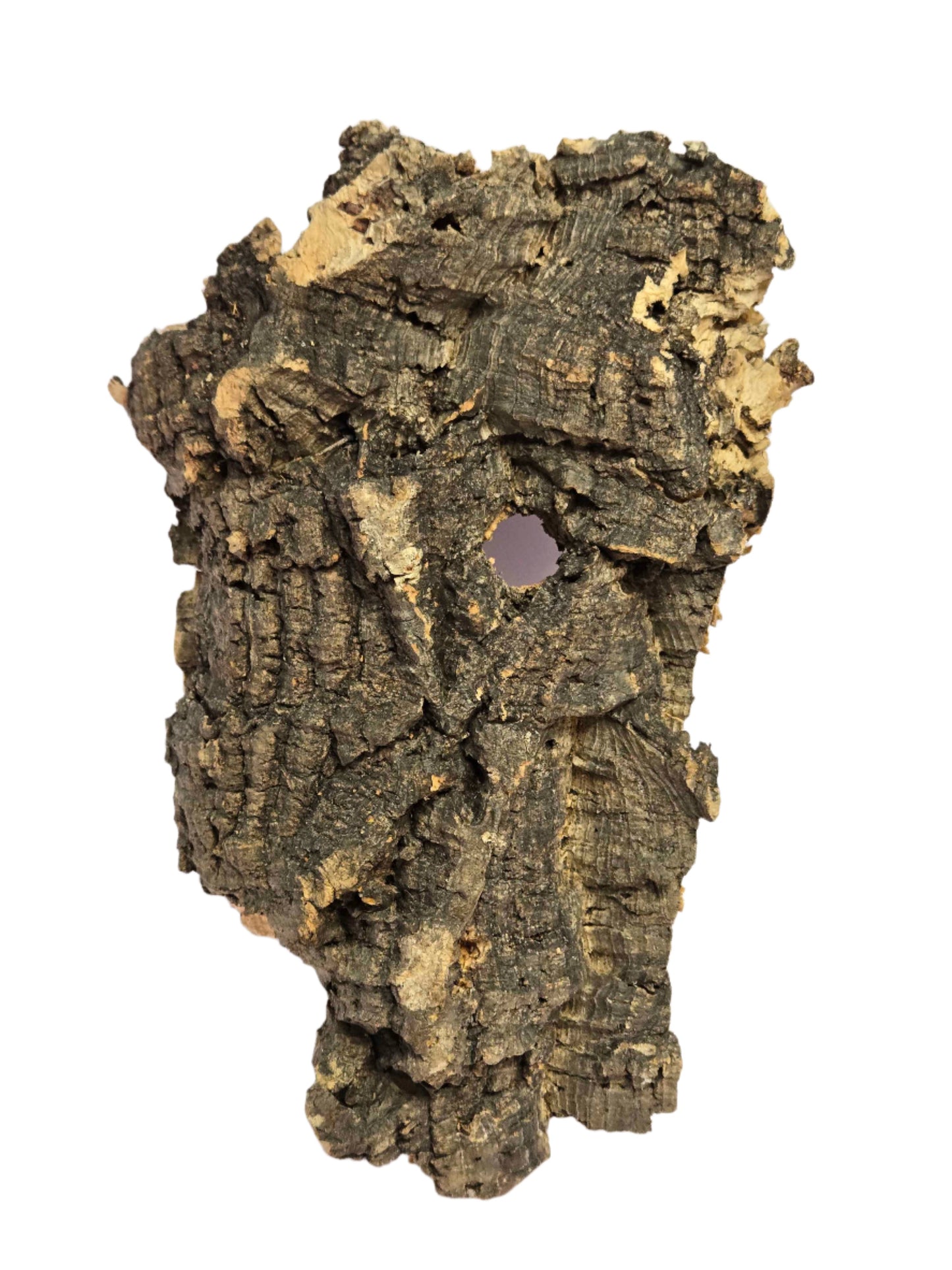 Cork Bark Shield Wall Exotics