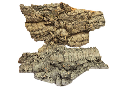 Cork Bark Shield Wall Exotics