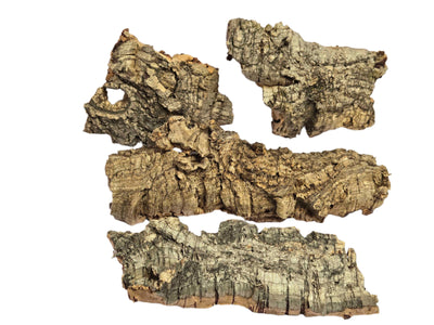 Cork Bark Small (4-6") Shield Wall Exotics
