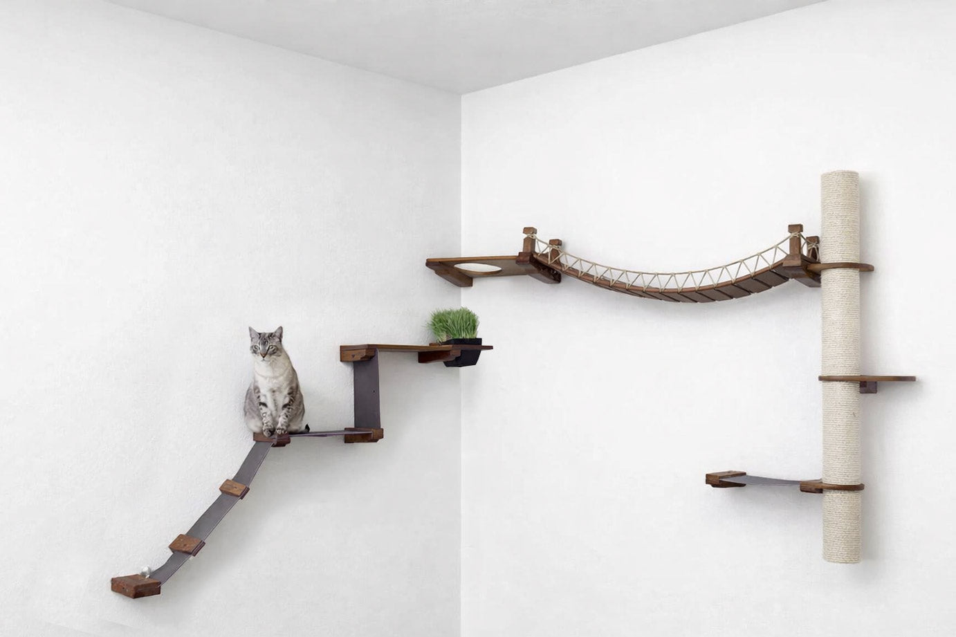 The Expedition - Cat Jungle Gym Wall System Cat Condo Catastrophic Creations