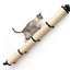 Slanted Cat Scratcher for Wall Cat Scratcher Catastrophic Creations