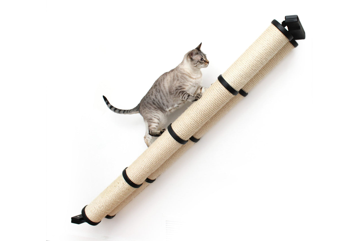 Slanted Cat Scratcher for Wall Cat Scratcher Catastrophic Creations