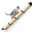 Slanted Cat Scratcher for Wall Cat Scratcher Catastrophic Creations