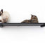 Wall Mounted Cat Shelf Onyx Bamboo 34" Solid Shelf Cat shelves/bed Catastrophic Creations