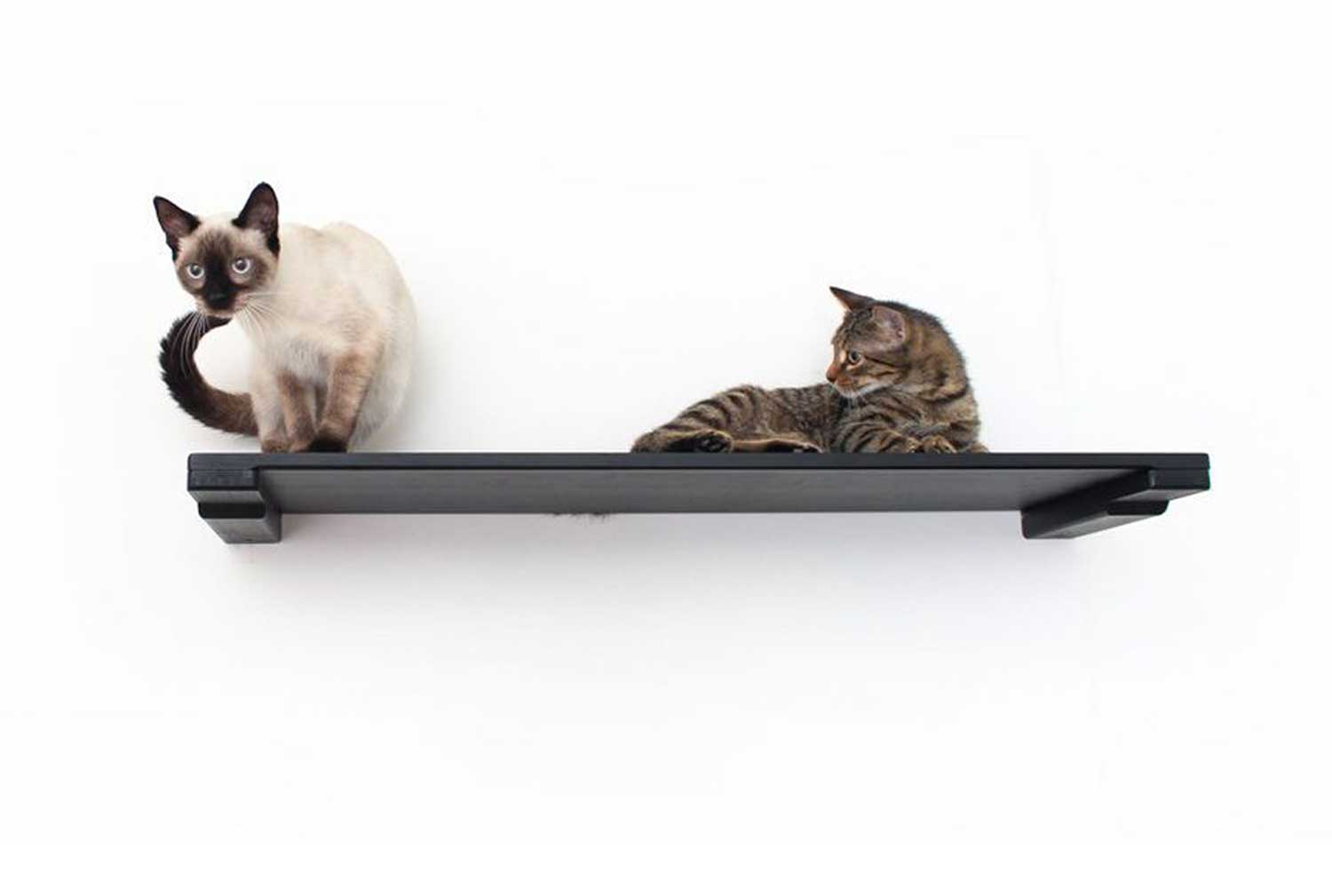 Wall Mounted Cat Shelf Onyx Bamboo 34" Solid Shelf Cat shelves/bed Catastrophic Creations