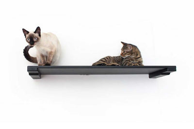 Wall Mounted Cat Shelf Onyx Bamboo 34" Solid Shelf Cat shelves/bed Catastrophic Creations