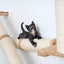 The Crossroads - Cat Wall Scratcher - Tree with Ramp Cat Condo Catastrophic Creations