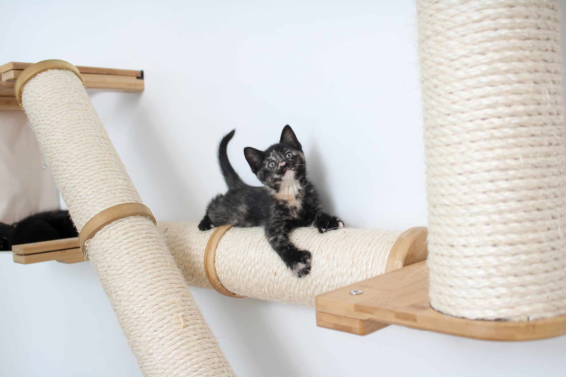 The Crossroads - Cat Wall Scratcher - Tree with Ramp Cat Condo Catastrophic Creations