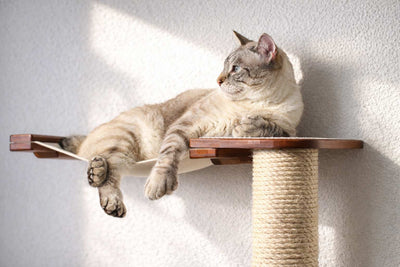 The Crossroads - Cat Wall Scratcher - Tree with Ramp Cat Condo Catastrophic Creations