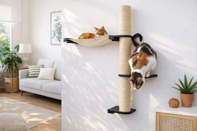 The Crow's Nest - A Wall Cat Scratcher with Hammock Cat Condo Catastrophic Creations