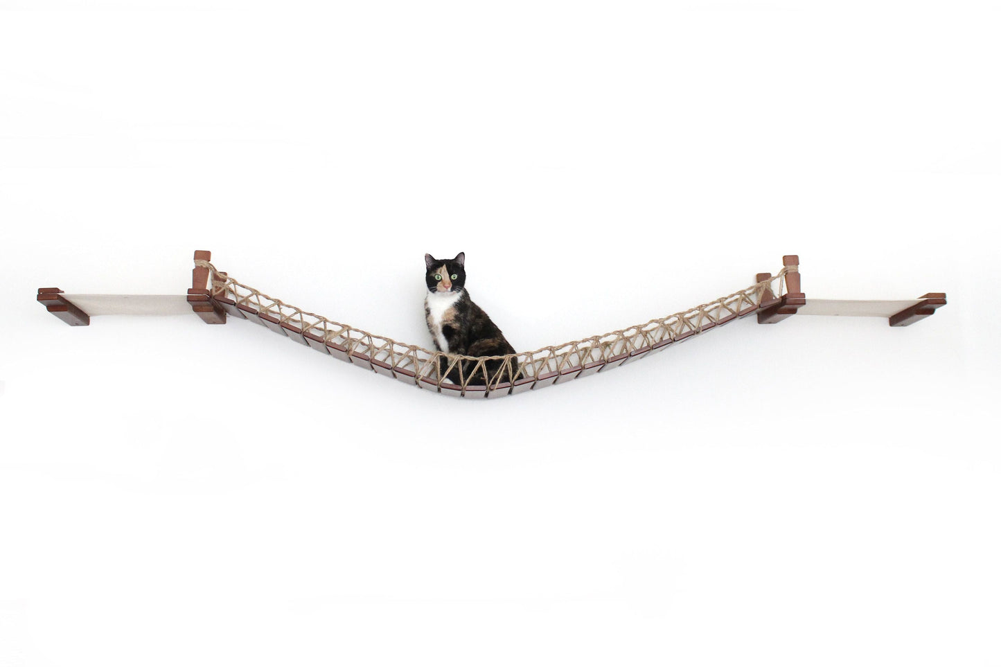 Double Cat Hammock and Climbing Bridge Combo Cat Bridge Catastrophic Creations