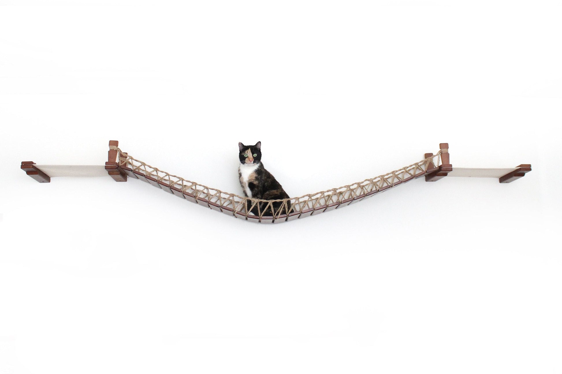 Double Cat Hammock and Climbing Bridge Combo Cat Bridge Catastrophic Creations