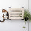 Deluxe Cat Cubby Bed Onyx Bamboo Slotted Planter Catastrophic Creations