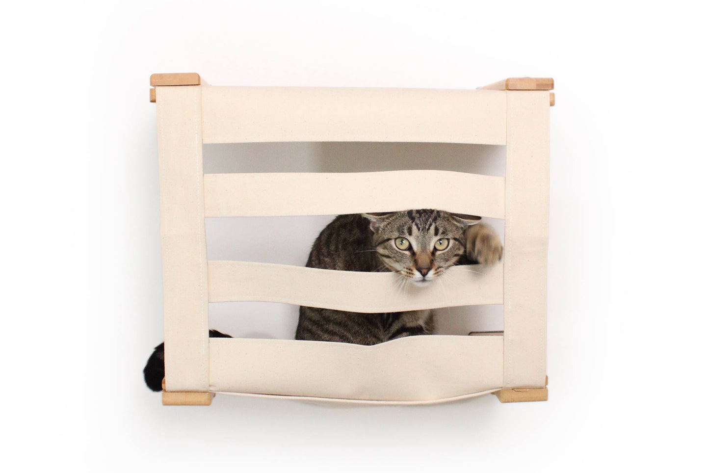 Enclosed Cat Bed - Cat Wall Cubby Natural Bamboo Slotted Catastrophic Creations