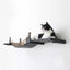 Cat Wall Bridge and Shelf Set Onyx Bamboo 34" Cat Bridge Catastrophic Creations