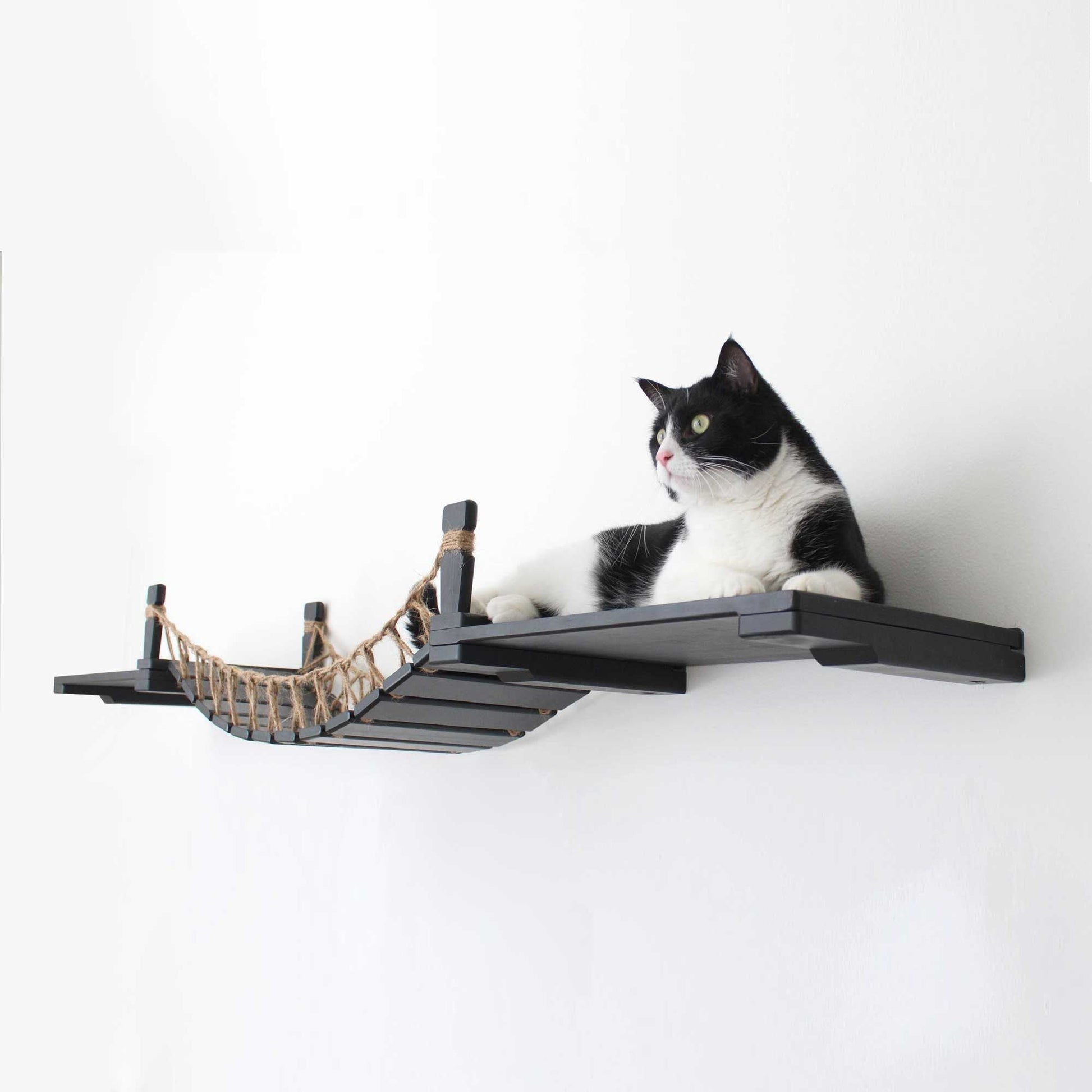 Cat Wall Bridge and Shelf Set Onyx Bamboo 34" Cat Bridge Catastrophic Creations