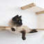 The Double Decker - Cat Hanging Bed Set Natural Bamboo Natural Canvas Cat Hammock Catastrophic Creations