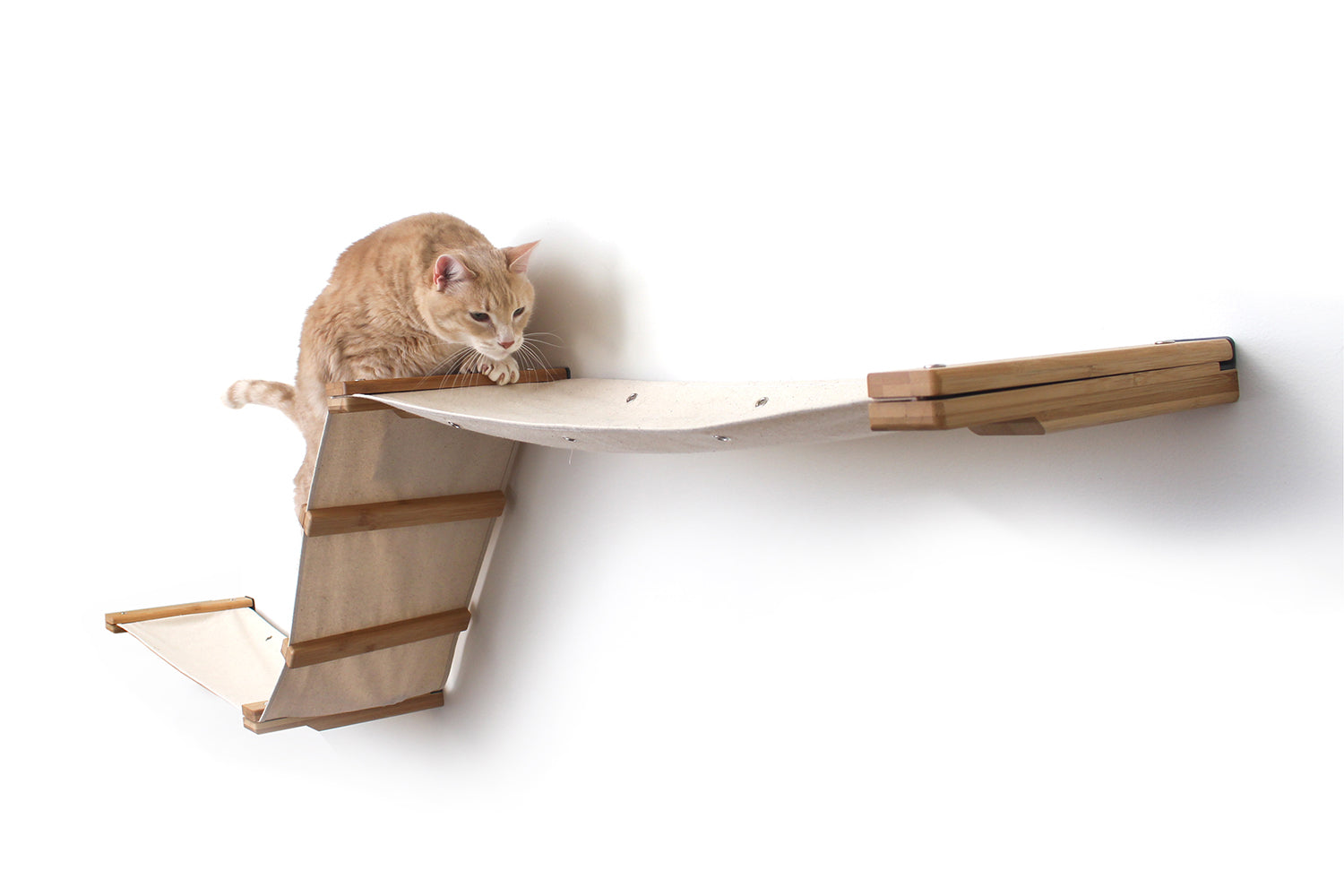 The Raceway - Wall Mounted Cat Hammock Cat Hammock Catastrophic Creations