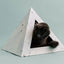 'Oasis' Cardboard Cat Pyramid KittyKardboard