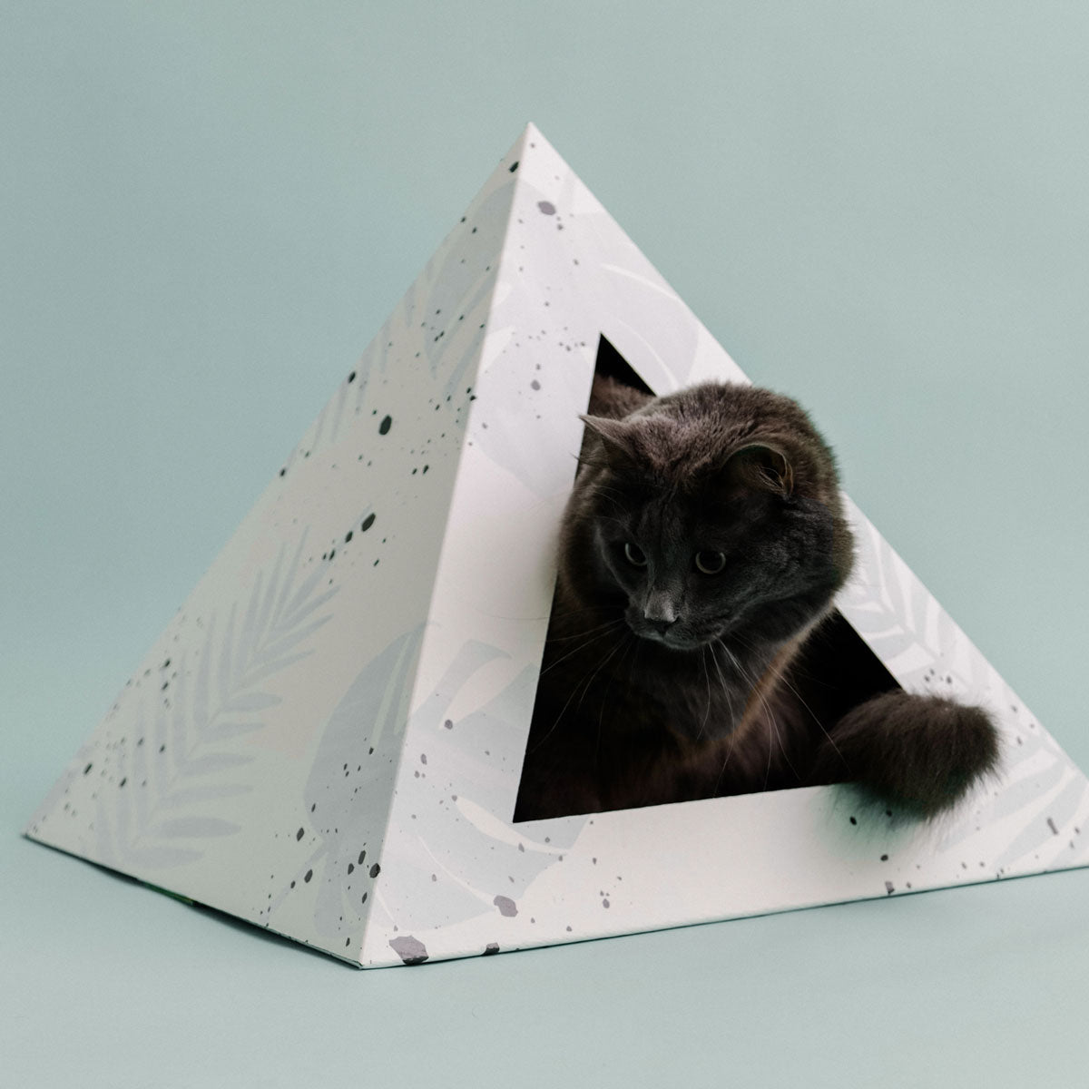 'Oasis' Cardboard Cat Pyramid KittyKardboard