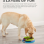 Nina Ottosson Lickin' Layers Interactive Treat Dog Puzzle Toy Multicolored Level 2 Dog Slow Feeder Nina Ottosson