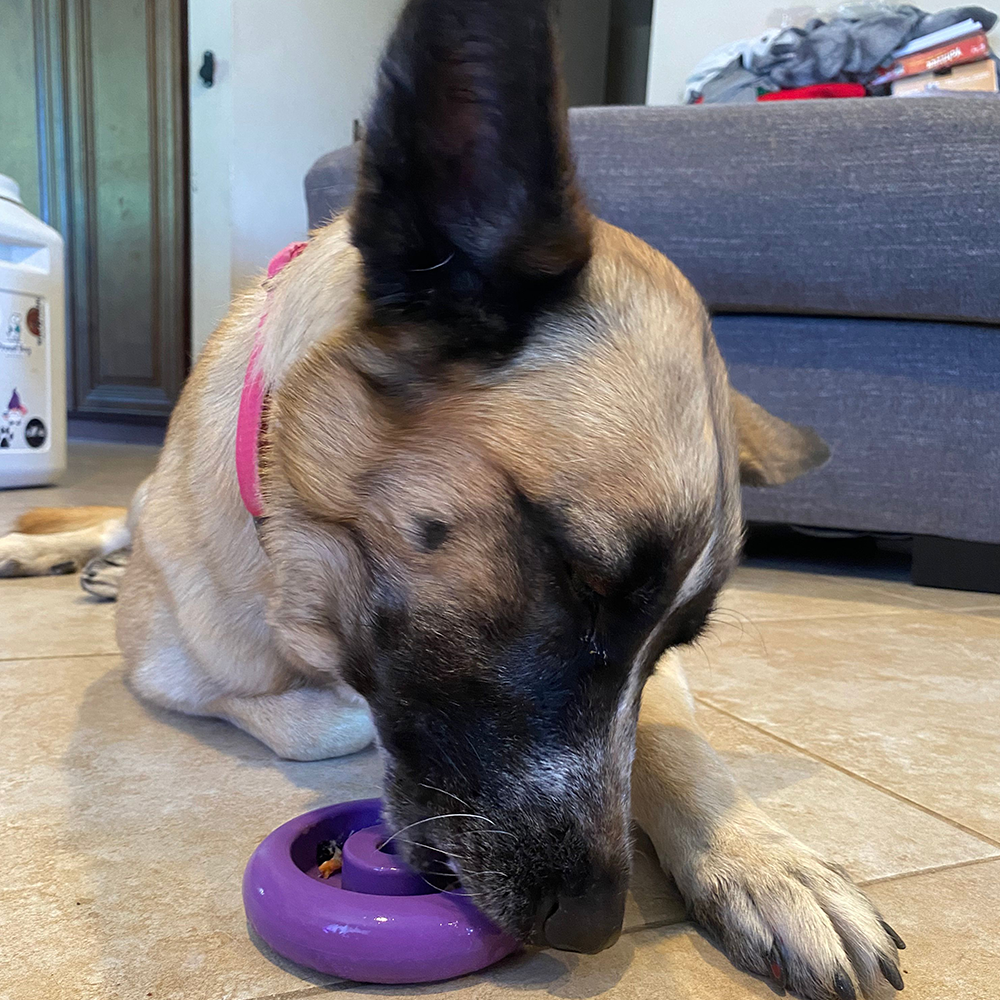 Freez Doughnut - Super Durable Treat Toy Freezbone