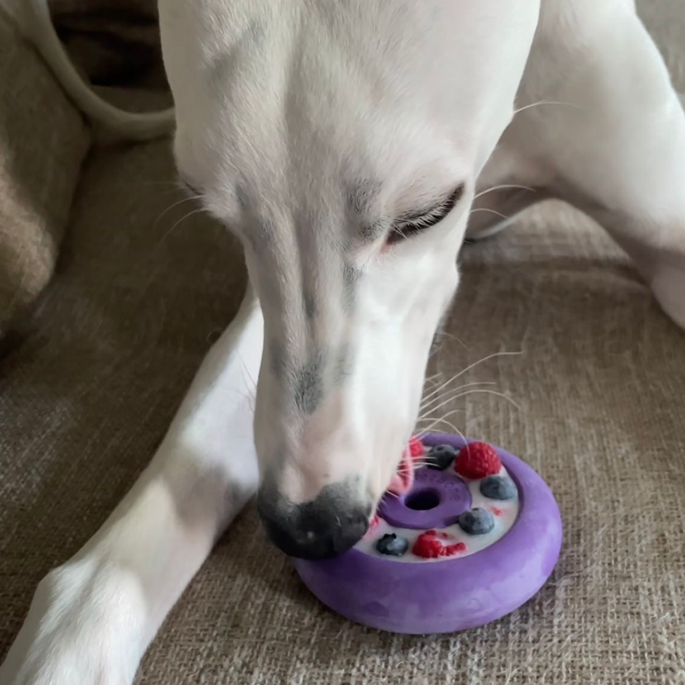 Freez Doughnut - Super Durable Treat Toy Freezbone