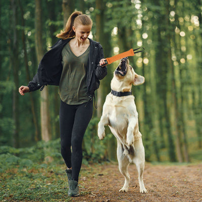 Viper French Linen Tug Dog Toys Dogline