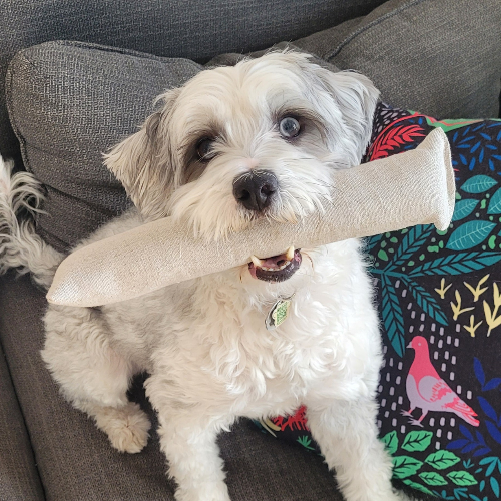 Boba & Vespa Cat Kicker Toy for Bunny Kicks - DOGS love it too! Cat Kickers The Kind Pet