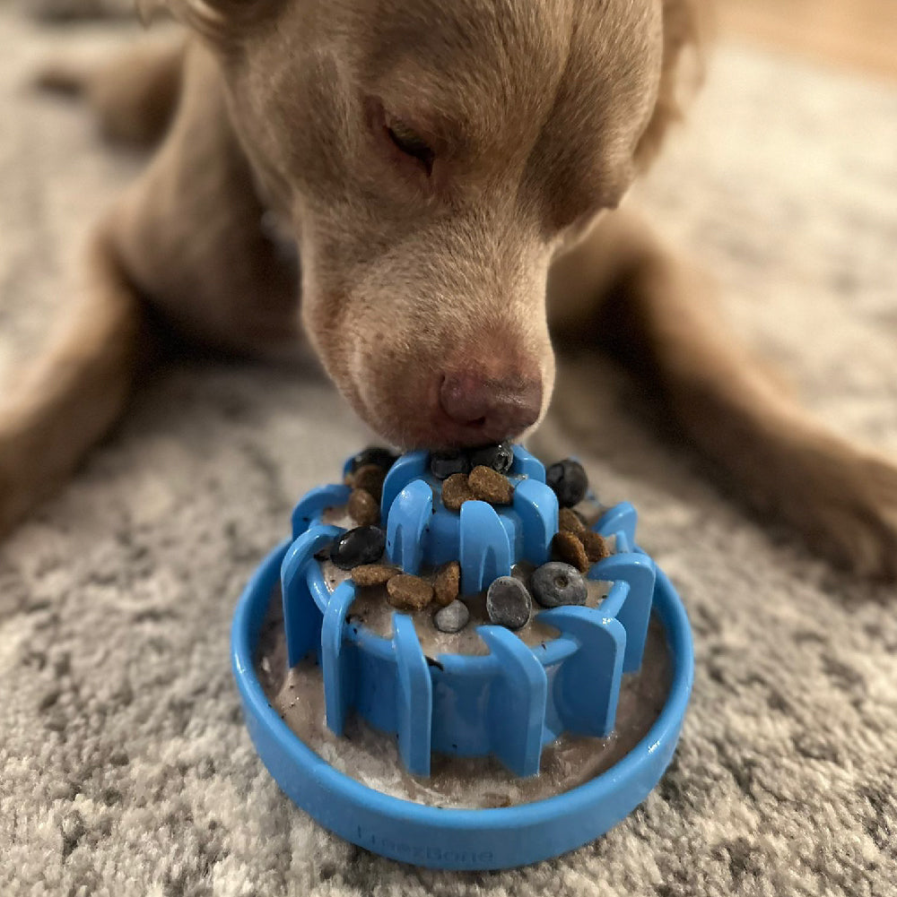 FreezLava Heavy-Duty Enrichment Chew Freezbone