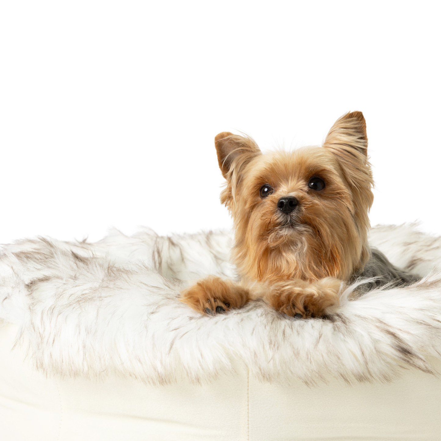 PupPouf™ Faux Fur Donut Dog Bed - White with Brown Accents Dog Beds Paw