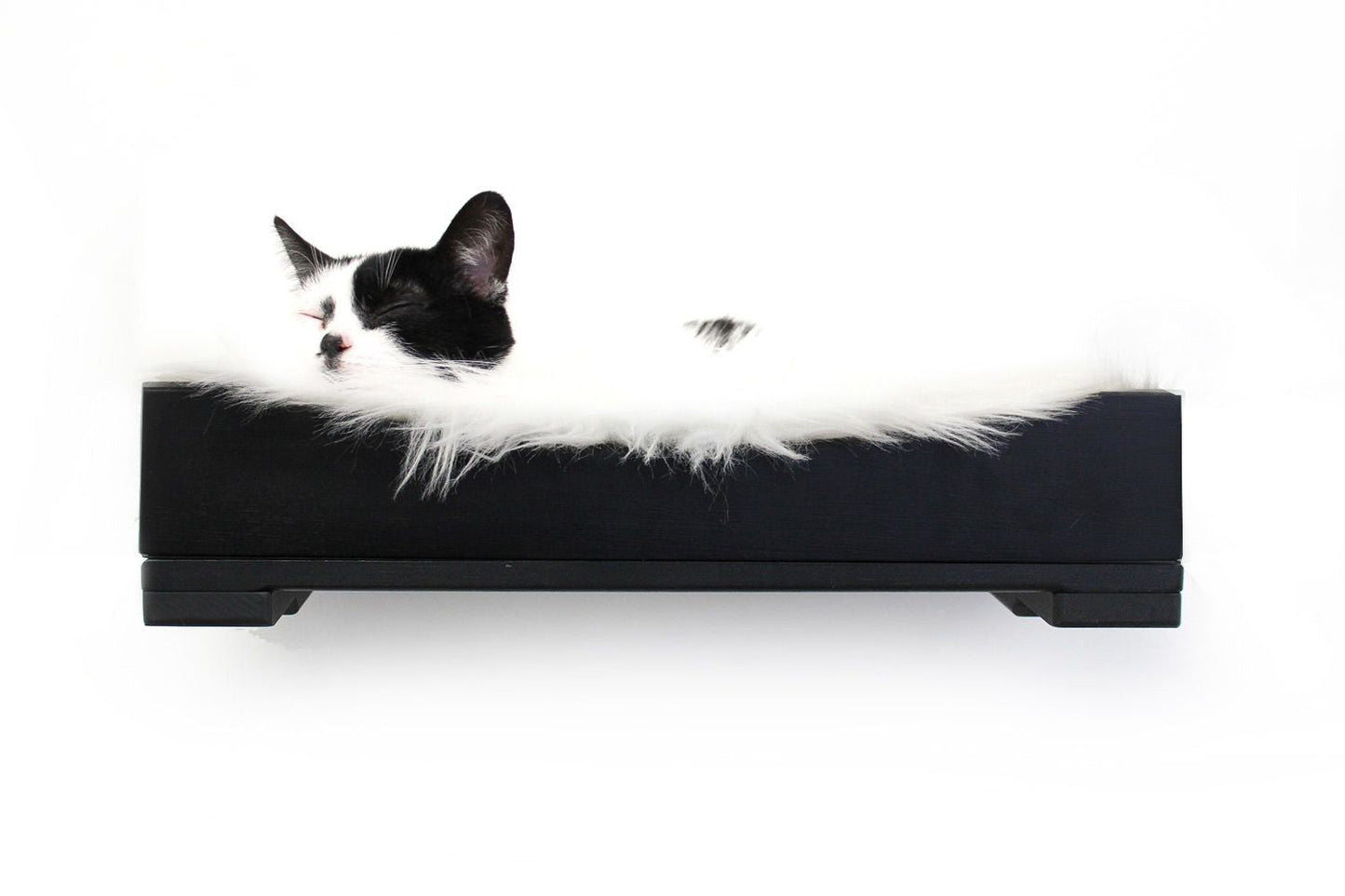 The Cat Nest Bed Onyx Bamboo Cream Plush 18" Solid Shelf Cat shelves/bed Catastrophic Creations